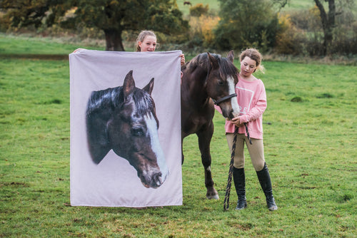 Gorgeously soft sherpa lined blanket.