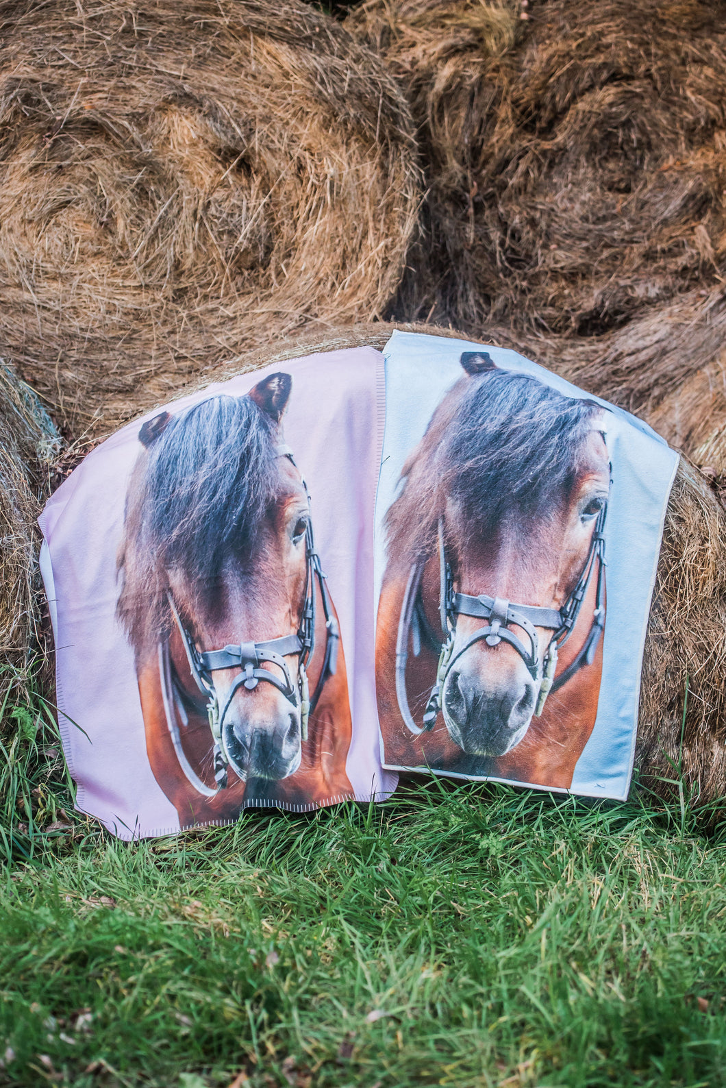 Horsy towels